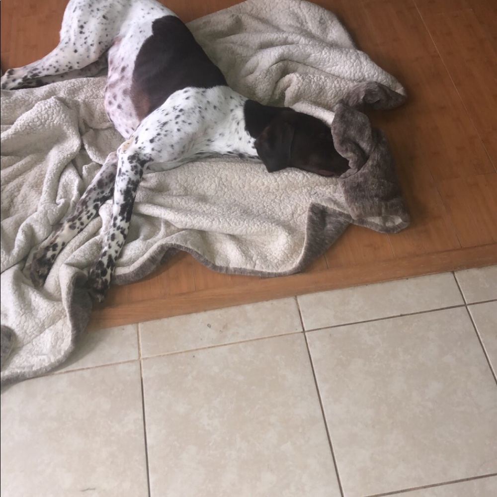 Meet your Posher, Faith